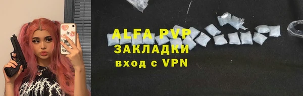 индика Вязьма