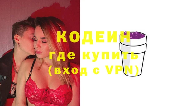 индика Вязьма