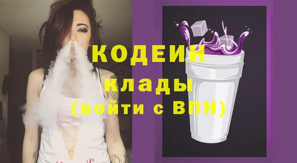 индика Вязьма