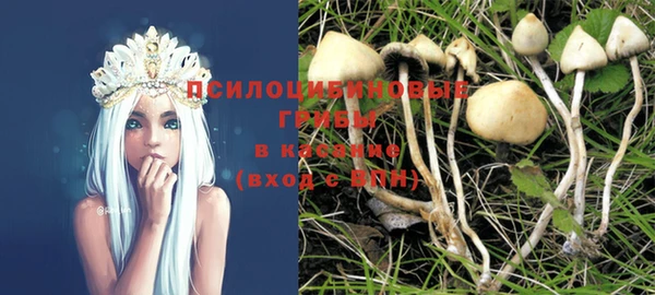 индика Вязьма