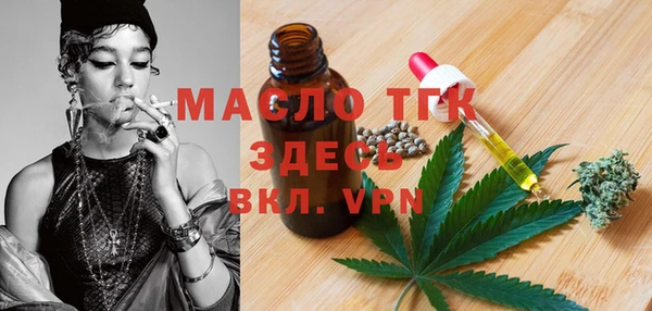 индика Вязьма