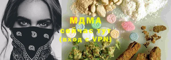 индика Вязьма