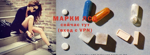 индика Вязьма