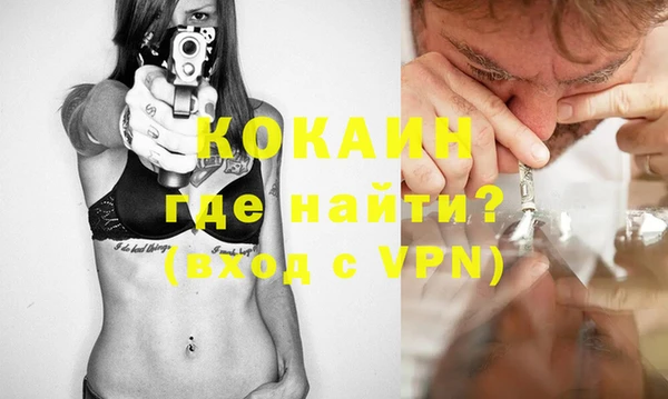 индика Вязьма